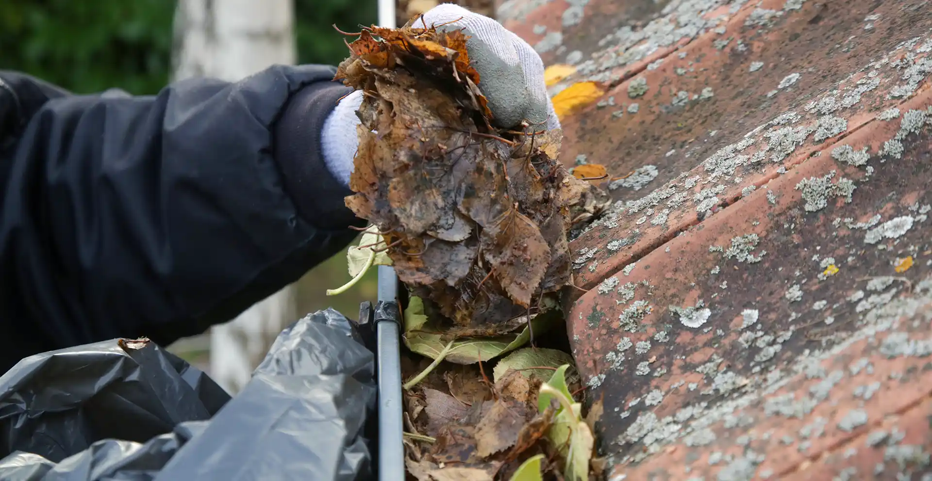 St. Joseph MI Gutter Cleaning