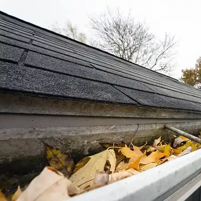 Gutter Cleaning